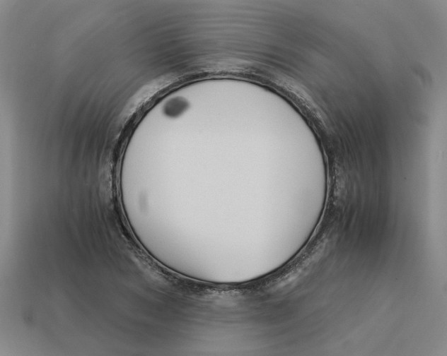 X0000114430978200911061640