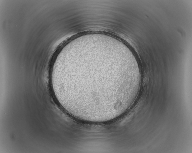 X0000114430979200911061640