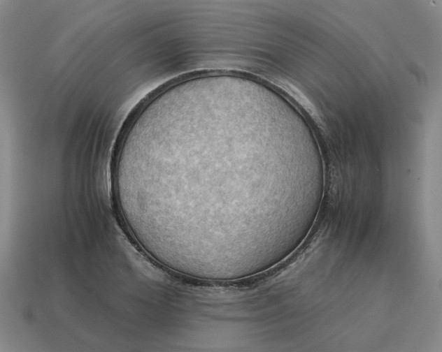X0000114430980200911061640