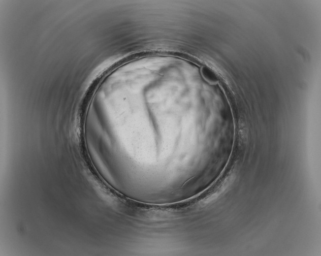 X0000114430981200911061640
