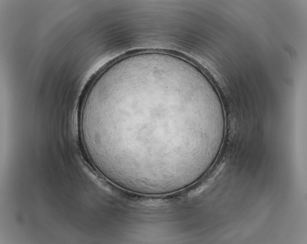 X0000114430982200911061640
