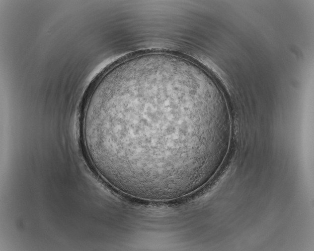 X0000114430983200911061639