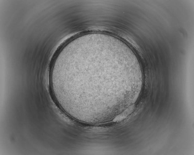 X0000114430984200911061639