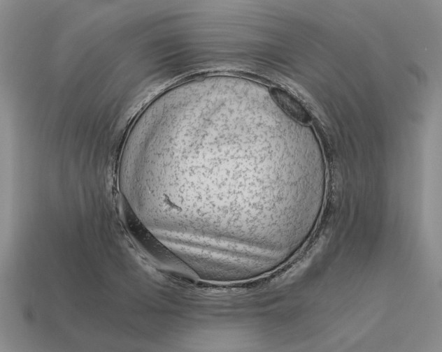 X0000114430985200911061639