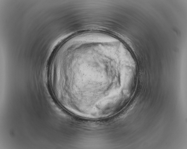 X0000114430987200911061639