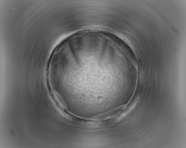 X0000114430989200911061639