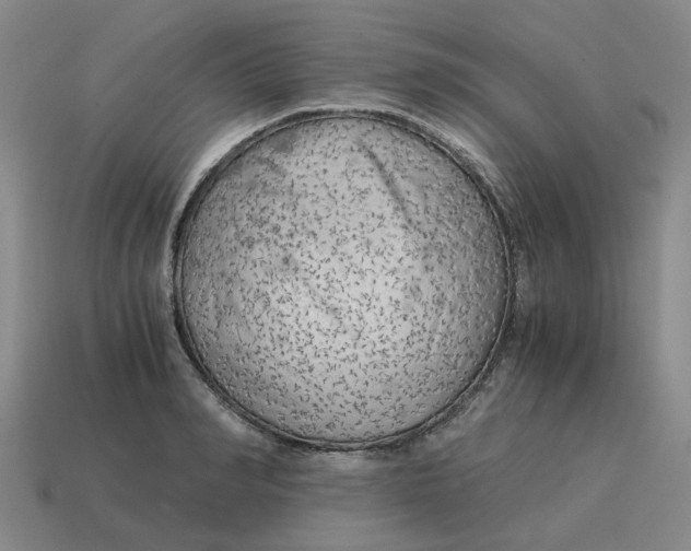 X0000114430990200911061639