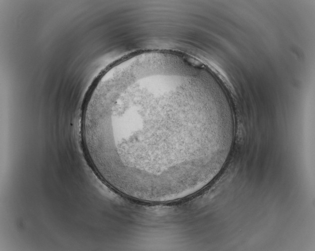 X0000114430992200911061639