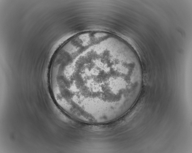 X0000114430995200911061639