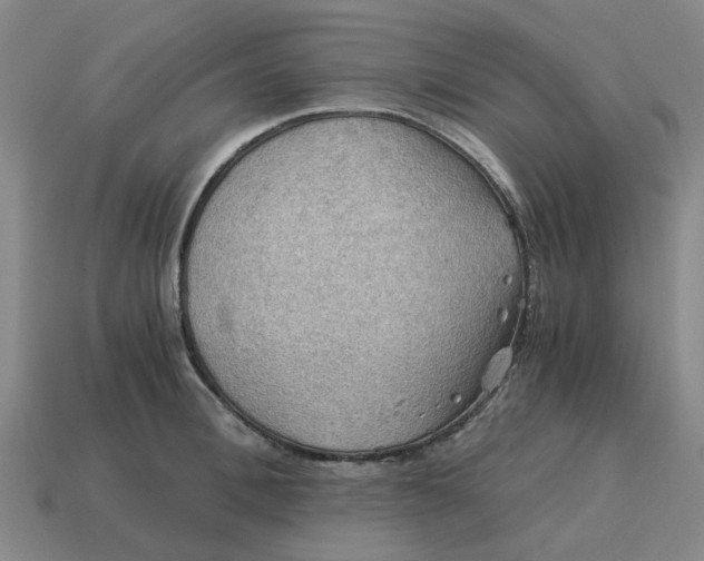 X0000114430996200911061639