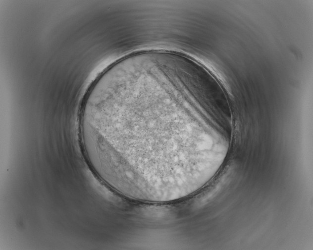 X0000114430998200911061639