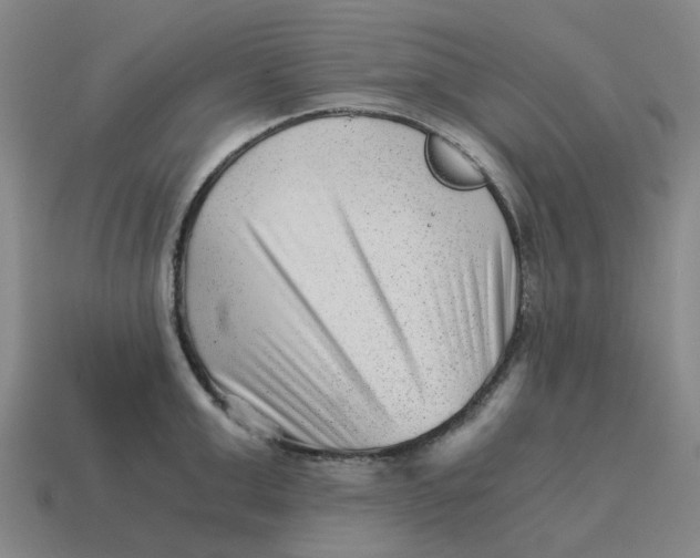 X0000114430999200911061639
