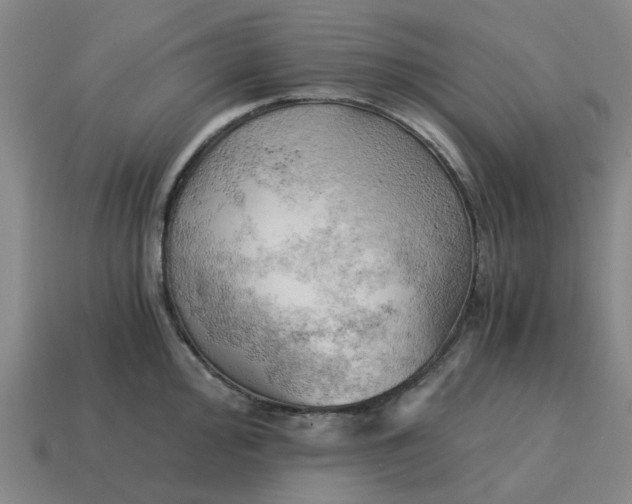 X0000114431000200911061639