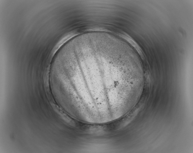 X0000114431002200911061639