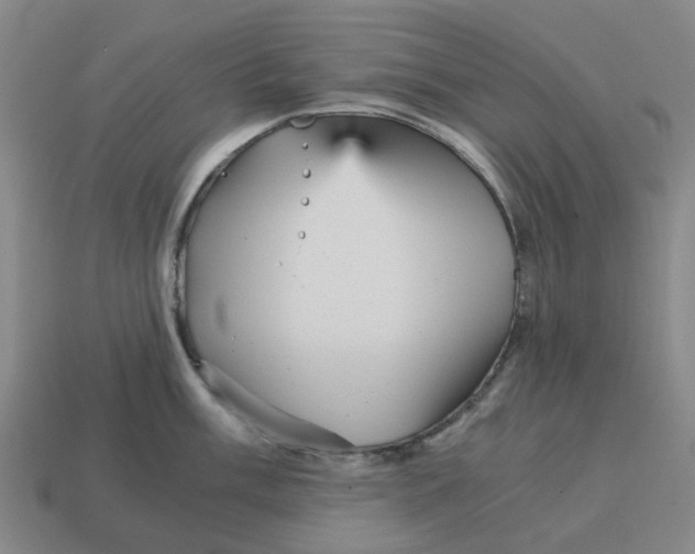 X0000114431003200911061639