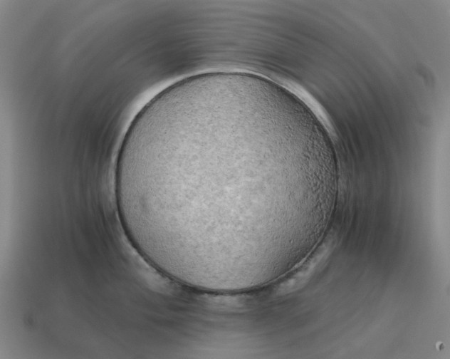 X0000114431004200911061639