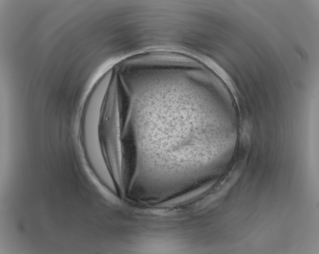 X0000114431005200911061639