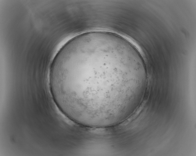 X0000114431006200911061639
