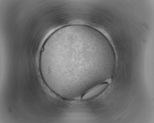 X0000114431008200911061639