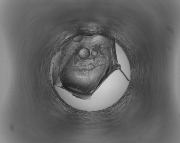 X0000114431009200911061638