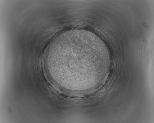 X0000114431010200911061638