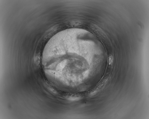 X0000114431011200911061638