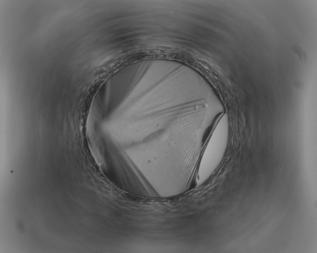X0000114431013200911061638