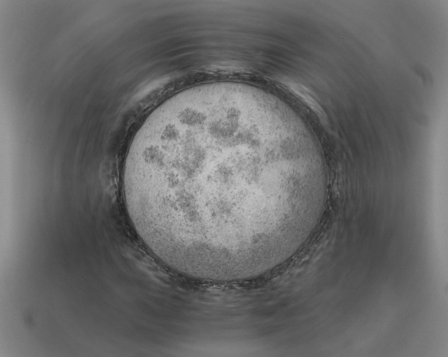X0000114431015200911061638