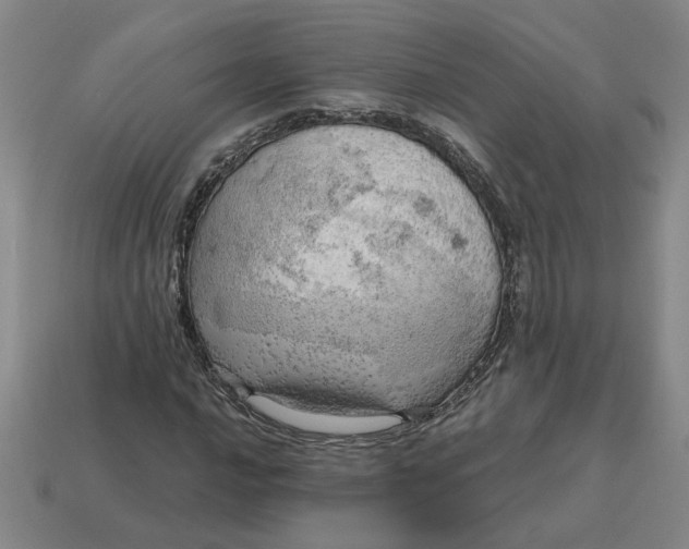 X0000114431016200911061638