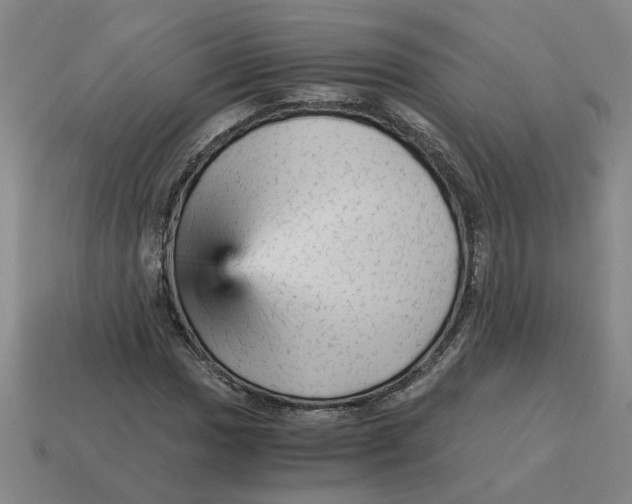 X0000114431017200911061638