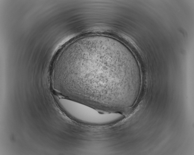 X0000114431018200911061639