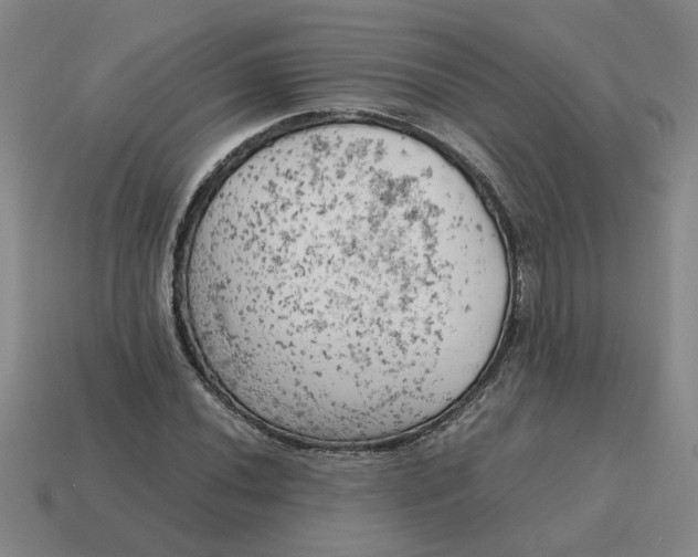 X0000114431020200911061639