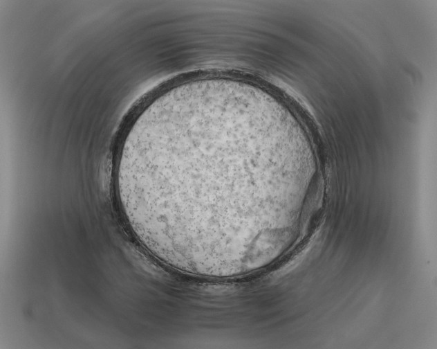 X0000114431021200911061639