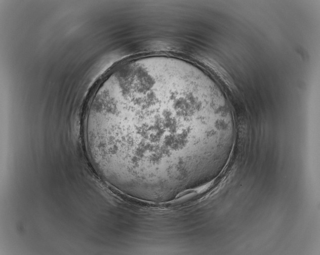 X0000114431023200911061639