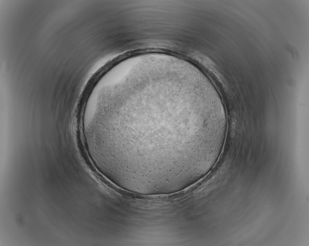 X0000114431024200911061639