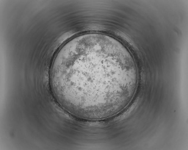 X0000114431025200911061639