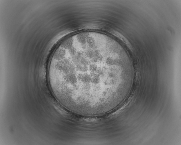 X0000114431027200911061639