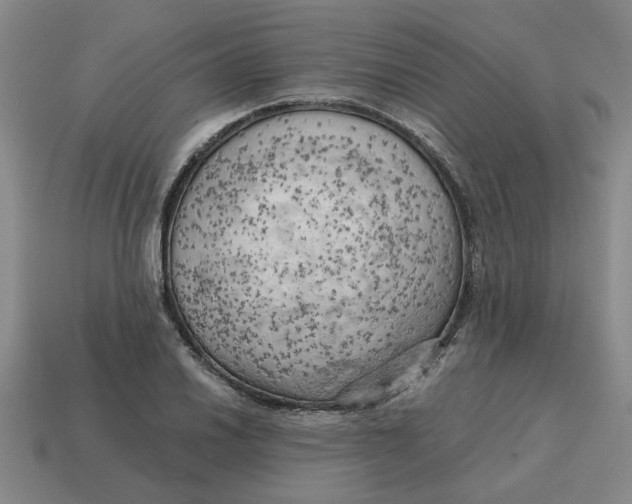 X0000114431030200911061639