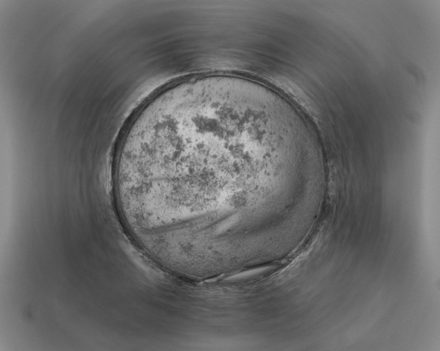 X0000114431031200911061639
