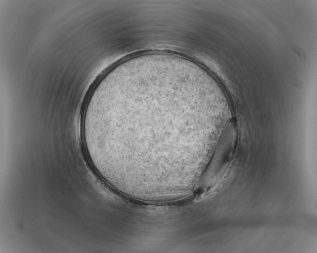 X0000114431032200911061639