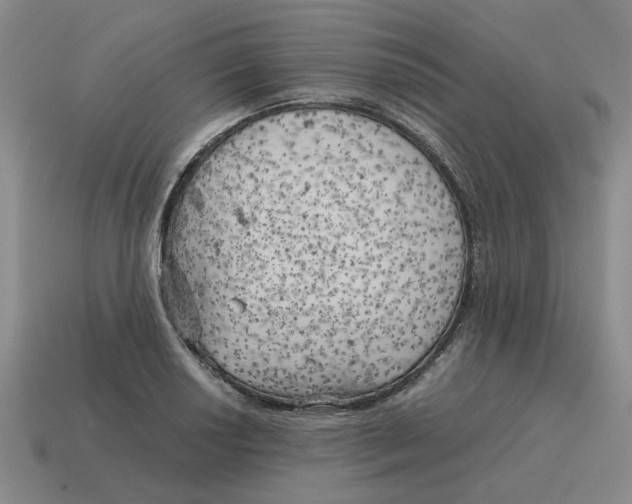 X0000114431034200911061639
