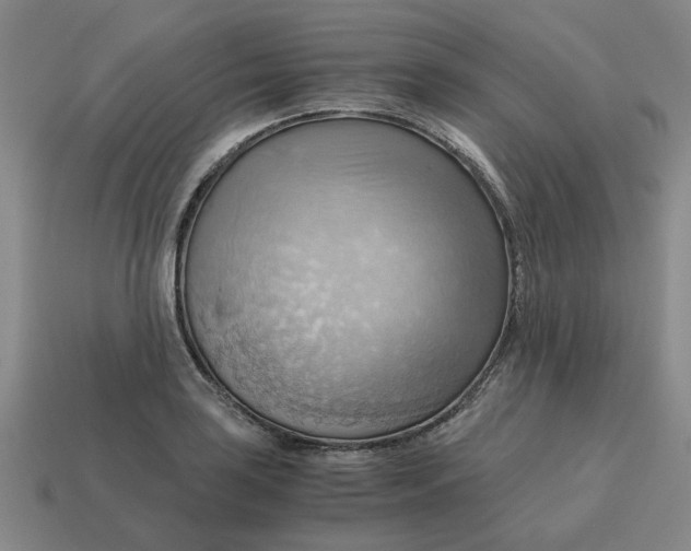 X0000114431035200911061639