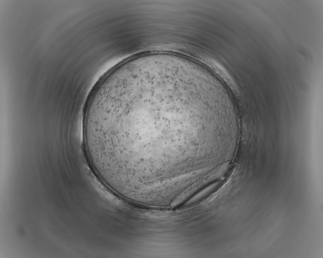 X0000114431036200911061639