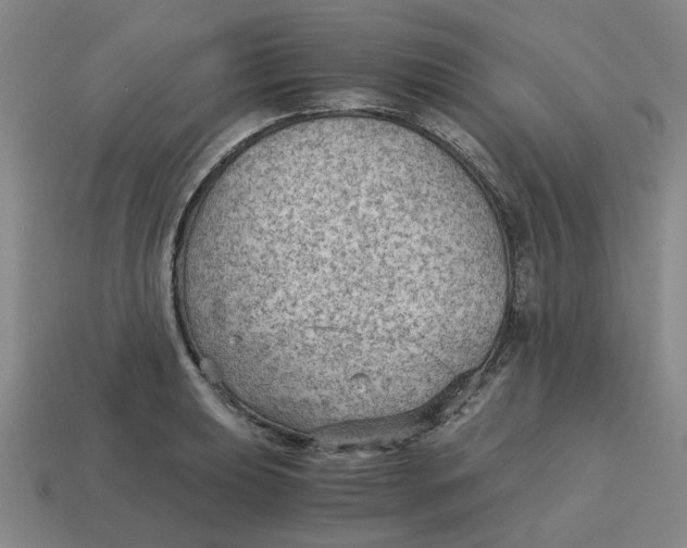 X0000114431039200911061639