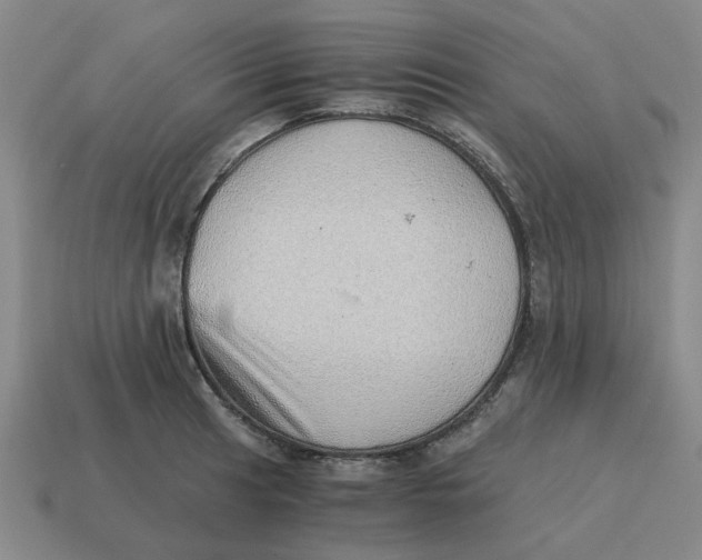 X0000114431041200911061639