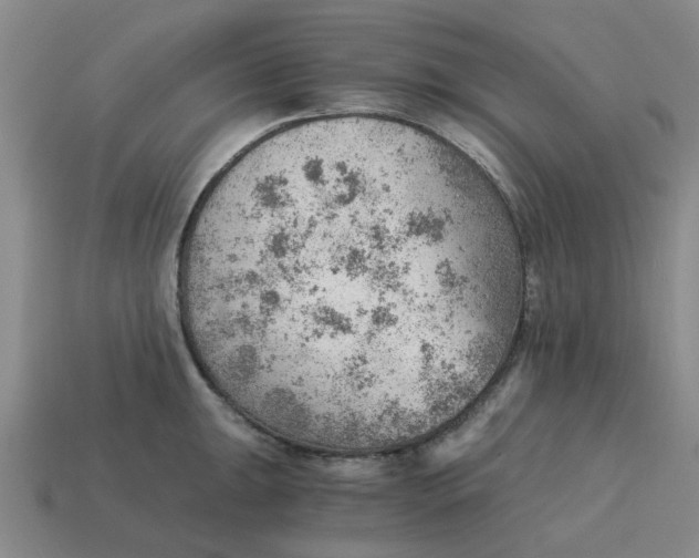 X0000114431047200911061639