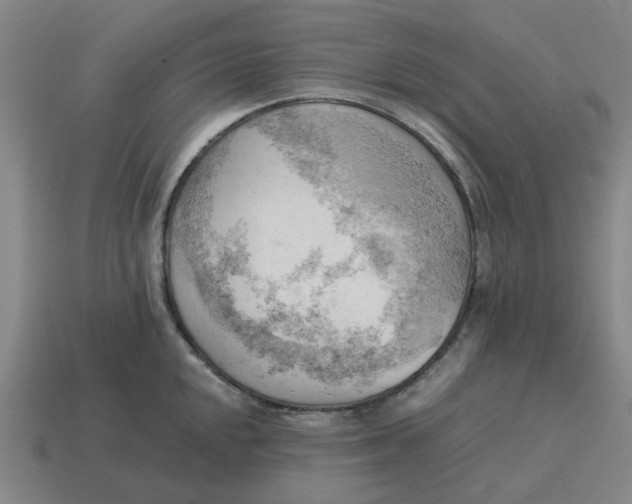 X0000114431048200911061639