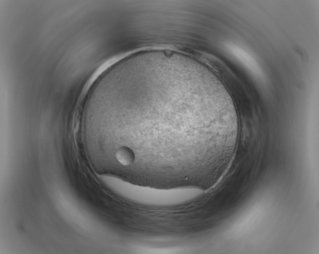X0000114431052200911061639