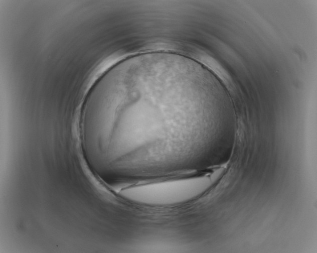 X0000114431055200911061639
