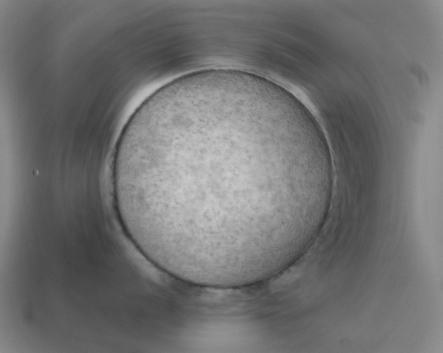 X0000114431056200911061639